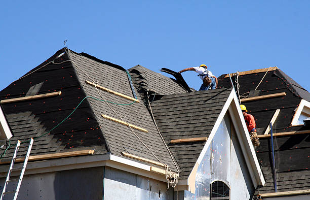 Best Gutter Installation and Roofing  in Woodlawn Beach, FL
