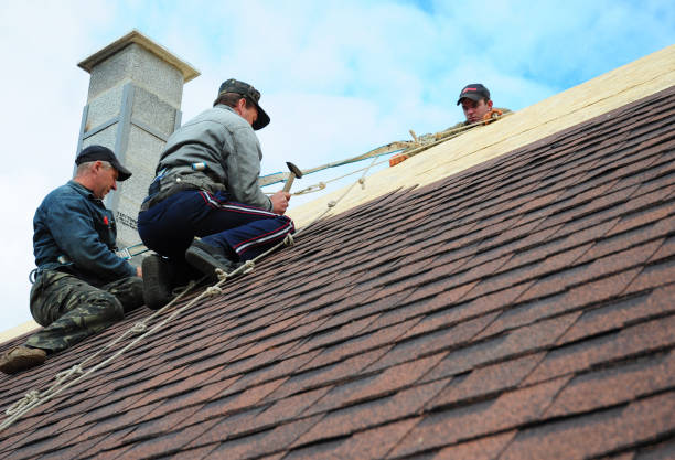 Best Roof Gutter Cleaning  in Woodlawn Beach, FL